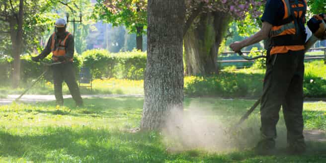 two men spraying the grass