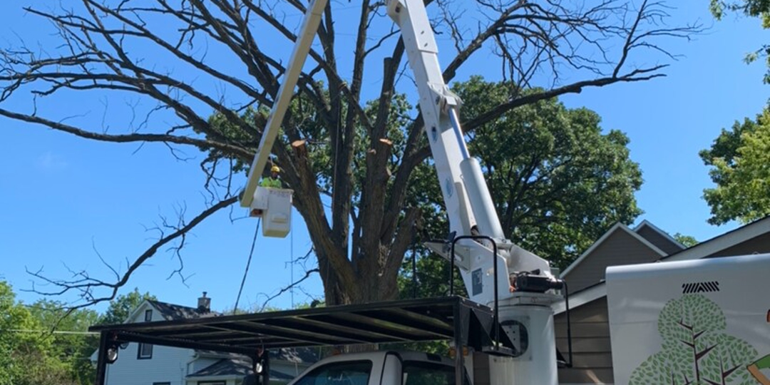 Monster Tree Service