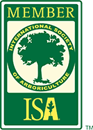 ISA Member