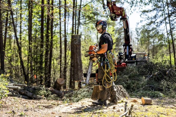 Tommy, CTSP and lead climber, in full safety gear on an active tree removal job site in Upstate South Carolina