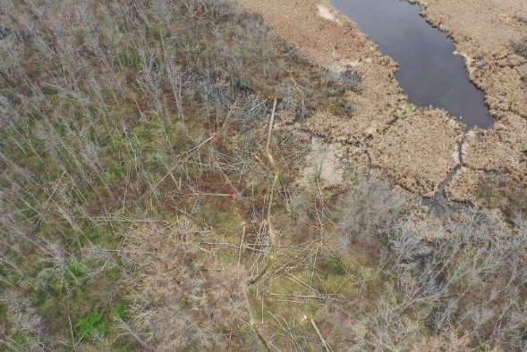 Island Cottage Woods