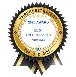 2025 Award Best Tree Services 