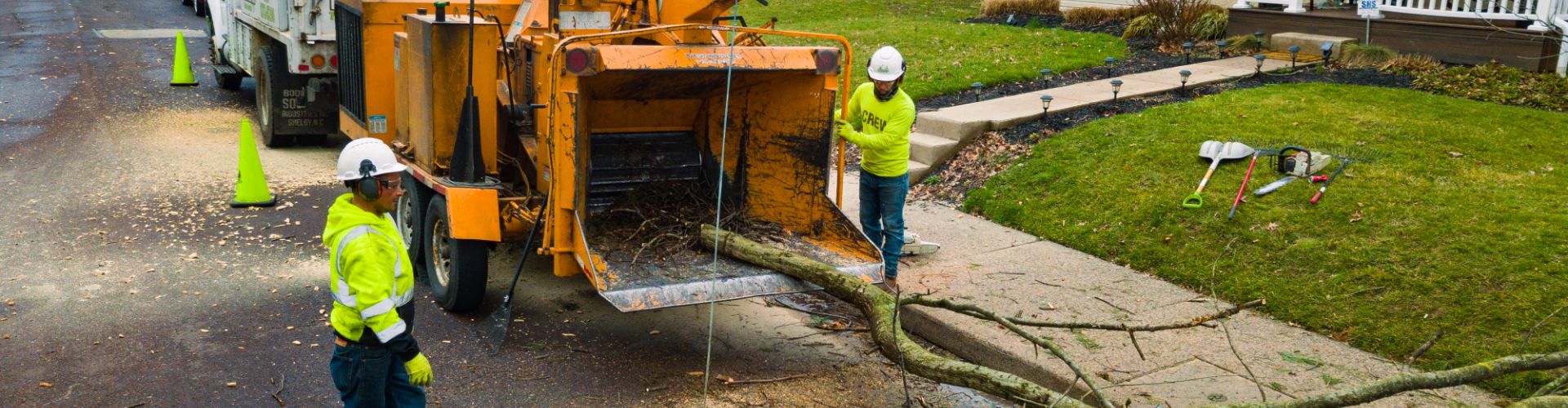 men in front of heavy machinery for cleaning up trees